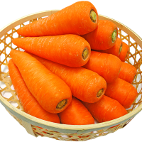 津堅島にんじん