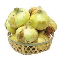 本多さんの塩玉ねぎ