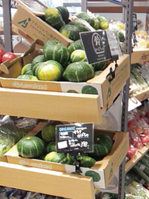 鈴かぼちゃ販売